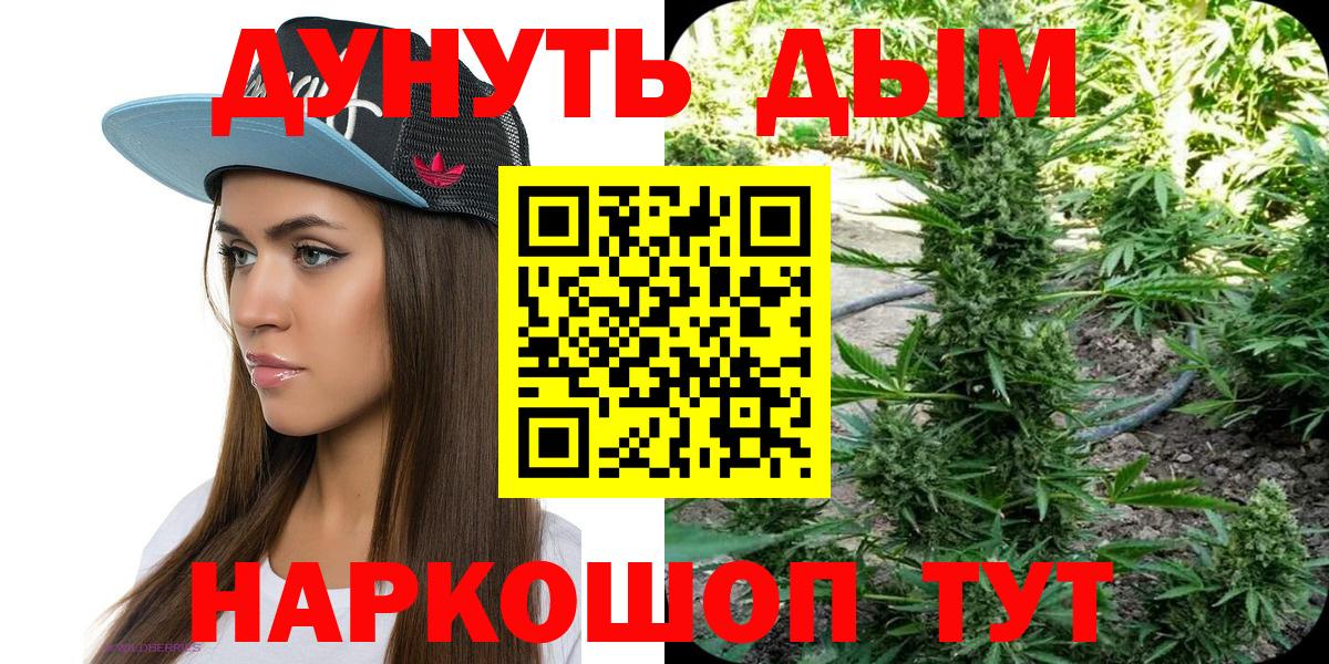 Бошки марихуана SATIVA & INDICA  Конопля ГИДРОПОН  Вход с VPN  Сергиев Посад  Канабис сатива 